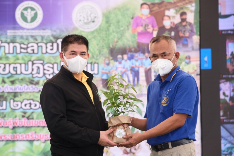 รมช.ธรรมนัส เปิดงาน “Kick Off ฟ้าทะลายโจร 1 ล้านต้น สู่เกษตรกรในเขตปฏิรูปที่ดิน